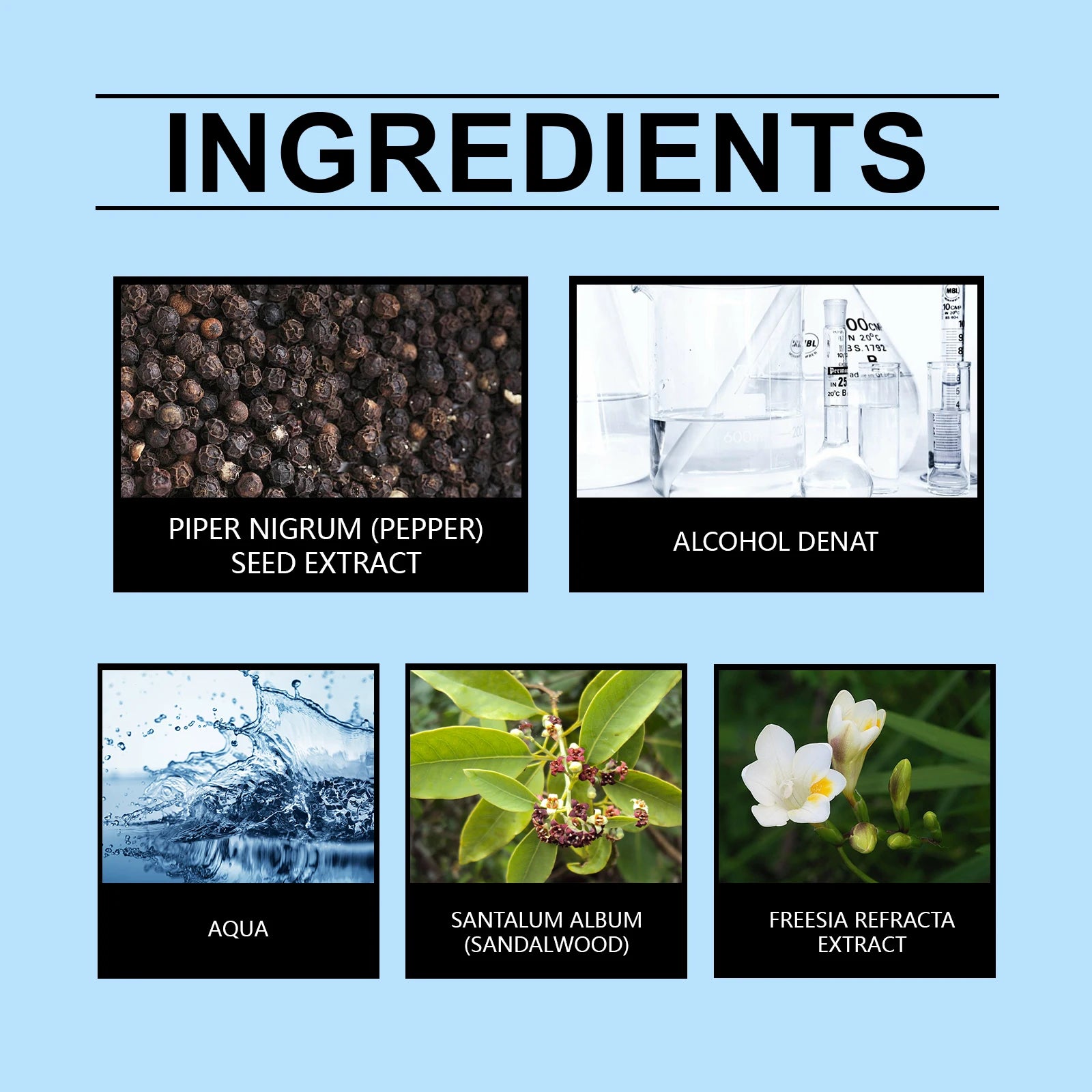 Refined Men fragrance
