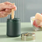Toothpick Holder