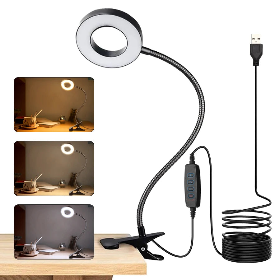 LED Table Lamp
